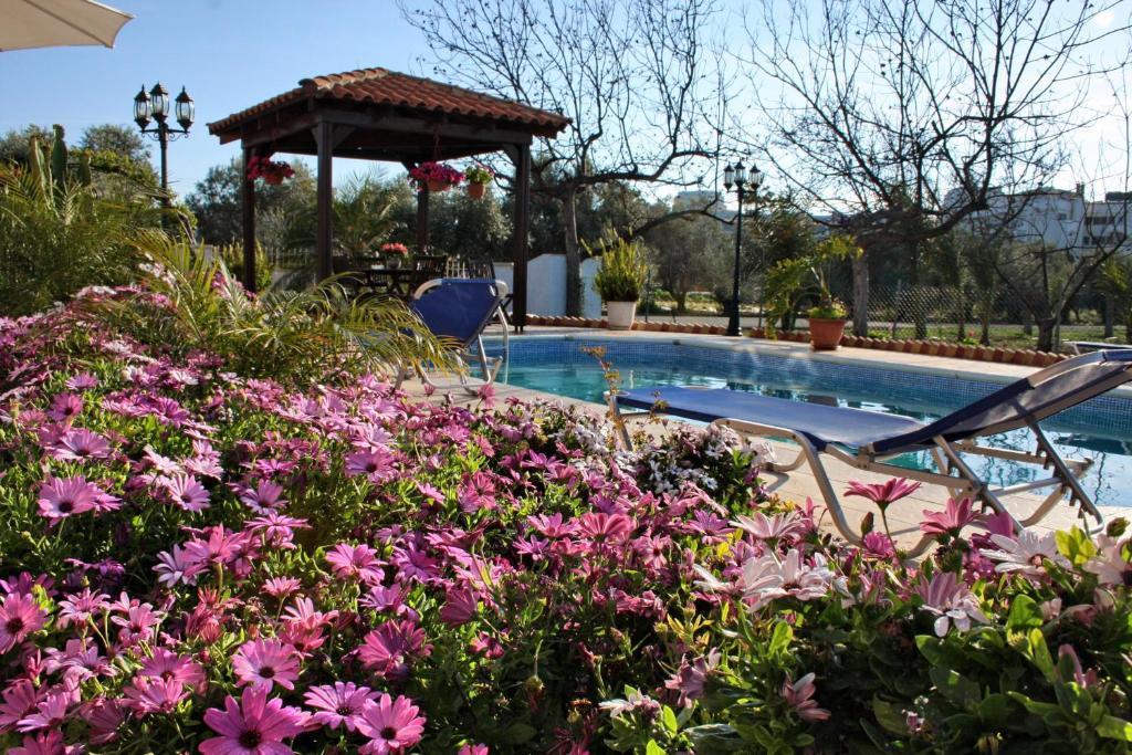 Villa Paradise Paphos Zimmer foto